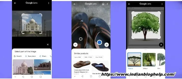 Google Lens Kya Hai or Kaise Use Kare? जानें तरीका 3 पेड़ पौधों की जानकारी लेना