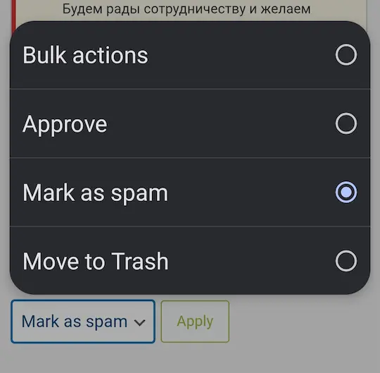 Spam Comments Kya Hote Hain? | कैसे पहचाने और डिलीट करें (बिना plugin) 7 Sabhi comments ko mark as Spam Comments ke roop mein select karna
